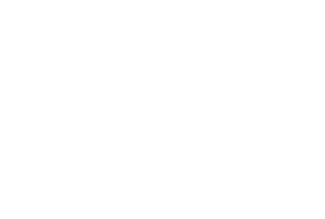 U.S. Army 250th