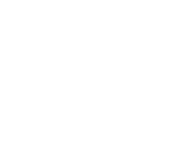 Democratic National Convention